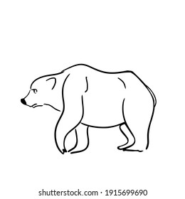 Male bear outline vector illustration.Black stripes on white.