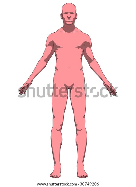 Male Body Stock Vector (Royalty Free) 30749206