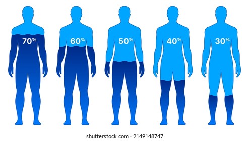 Male body with different water level percentages, isolated on white background. Man body water composition vector illustration.