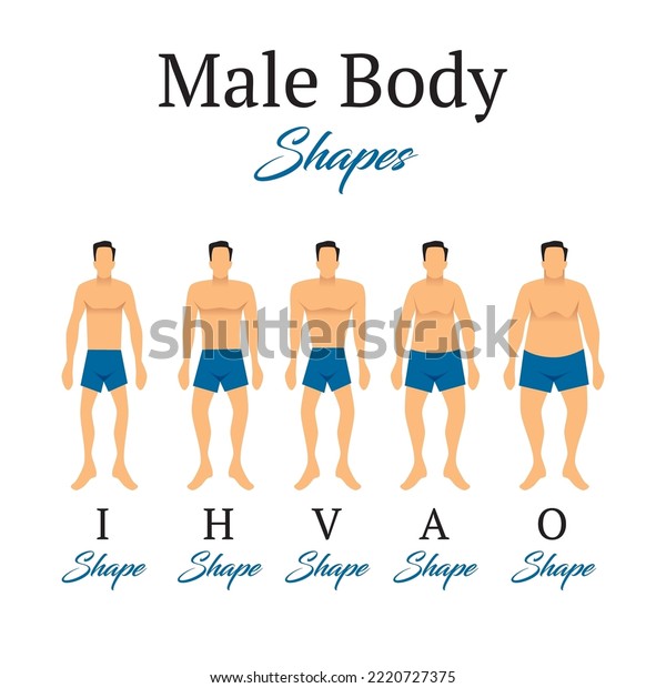 Male Body Figures Man Standing Men Stock Vector (Royalty Free ...