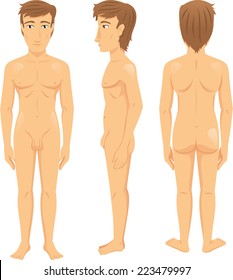 Male Body Front, Side And Back View Vector Cartoon Illustration