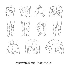 Male Body Icon Set - Thin Line Style, Vector Collection