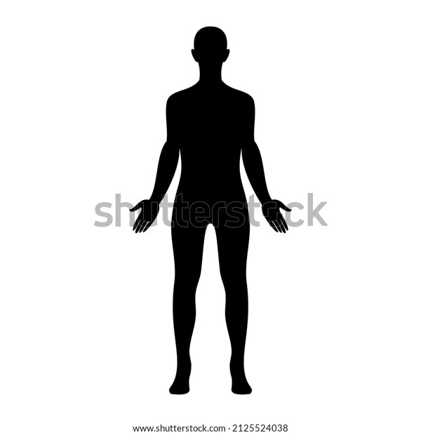 Male Body Illustration Vector Design Stock Vector (Royalty Free ...