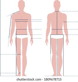Male body for measuring the size vector illustration