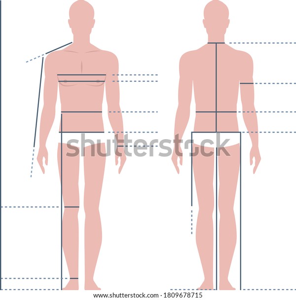 Male Body Measuring Size Vector Illustration Stock Vector (Royalty Free ...