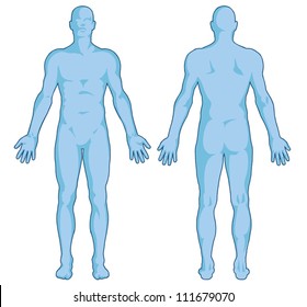 Male Body Shapes Ã¢Â?Â? Human Body Outline Ã¢Â?Â? Vector - Posterior And Anterior View - Full Body