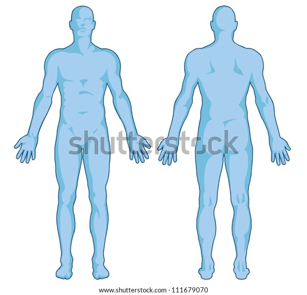 Male body shapes Ã¢Â?Â? human\
body outline Ã¢Â?Â? vector - posterior and anterior view - full\
body
