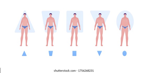 Male body type shape concept. Vector flat people illustration set. Collection of man character in swimsuit underwear isolated on white. Design element for banner, inforgraphic, web.