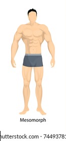 Male body types. Mesomorph body type of man.