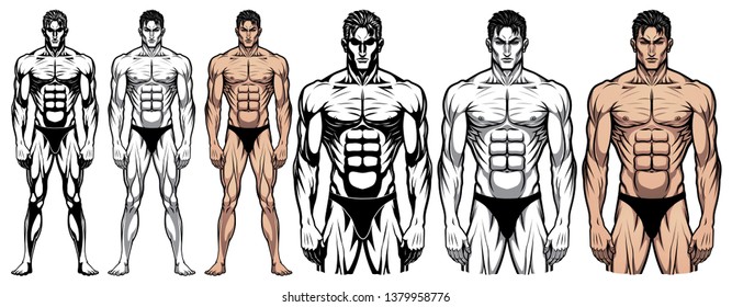 Set Hand Drawn Human Anatomy Study Stock Vector (Royalty Free) 2120464577