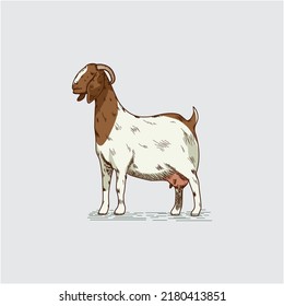 Male Boer goat icon vector