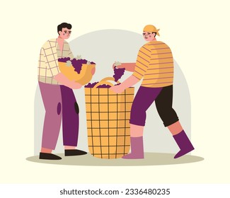 Male carry basket with berries, man sorting grapes. Cartoon characters making wine. Wine production industry. Flat vector illustration in yellow and purple colors