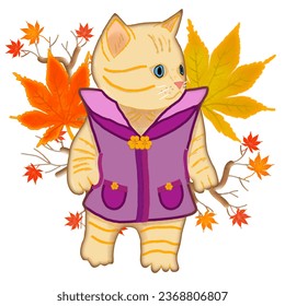 male cat in a coat walk, autumn season