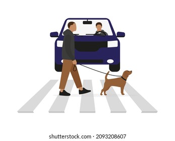 Male character with a dog on a leash walking on a pedestrian crossing in front of a car with a driver on a white background