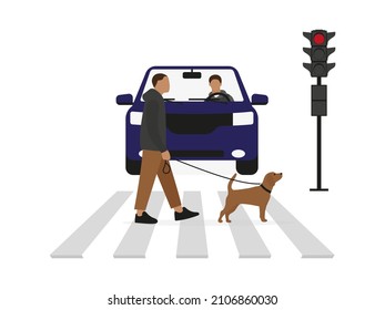 A male character with a dog on a leash walks along a pedestrian crossing in front of a car standing at a red traffic light