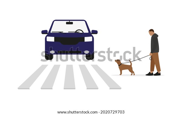 Male character\
with a dog on a leash stands in front of a pedestrian crossing and\
a car on a white\
background
