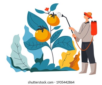 Male character farming and caring for growing vegetables on field. Man watering or spraying plants with water or minerals and vitamins. Environmental care and protection. Vector in flat style