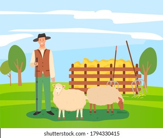 Male character of shepherd with sheep, flat vector illustration design. Young farmer man in hat standing with shepherd's stick near farm animal. Green meadow rural landscape with grass and hay