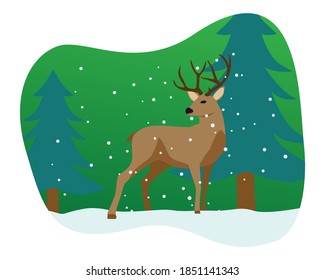 A male deer standing in the snow during a Christmas Eve celebration