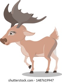 Male Deer Vector on a white background