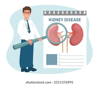 A male doctor with a magnifying glass examines diseases of the kidneys, urinary system. Medical healthcare concept. Vector