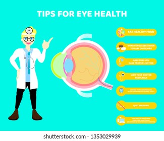 male doctor with tips for eye health, eyeball, internal organs anatomy body part nervous system, health care concept infographic, 
 vector illustration cartoon flat character design clip art
