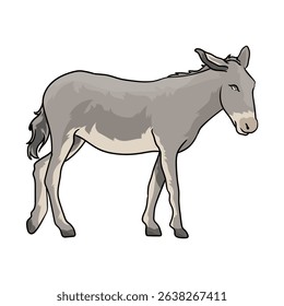 male donkey or mule with separate white background