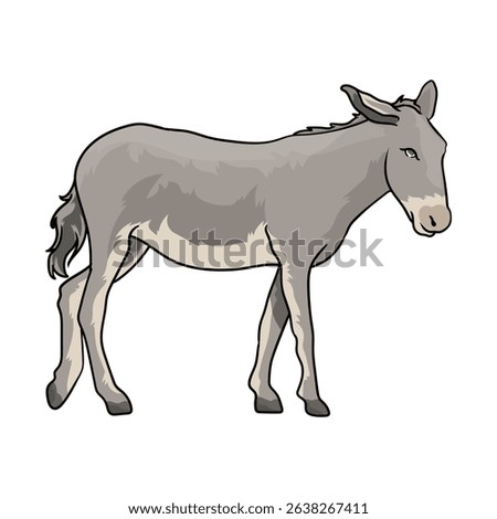 male donkey or mule with separate white background