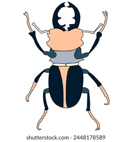 Male European stag beetle (Lucanus cervus) isolated on white background