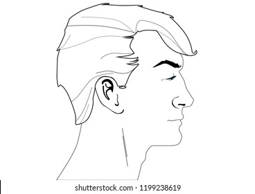male face portrait vector