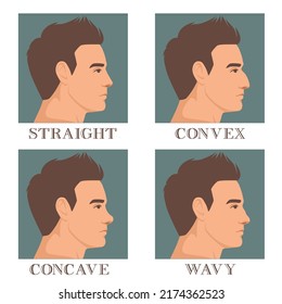 cara masculina en perfil con diferentes tipos de nariz convexa, recta, concave y ondulada. Ilustración del vector