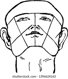 Male Face is tilted backwards in this picture vintage line drawing or engraving illustration.