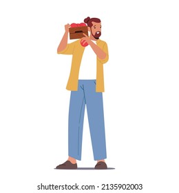 Male Farmer Carry Apples Harvest in Wood Box in Orchard. Gardener Character Harvesting Ripe Fruits in Garden, Ecological Eco Farm Production, Agriculture Work. Cartoon People Vector Illustration