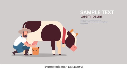 male farmer milking cow in bucket farm domestic animal cattle fresh milk concept flat gray background horizontal copy space