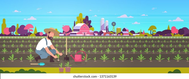 male farmer planting young seedlings plants vegetables man working in garden agricultural worker eco farming concept farmland field countryside landscape flat full length horizontal