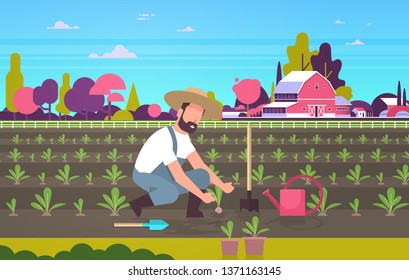 male farmer planting young seedlings plants vegetables man working in garden agricultural worker eco farming concept farmland field countryside landscape flat full length horizontal