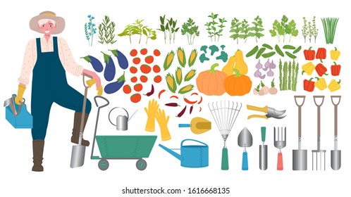 A male farmer with a shovel and a toolbox. Large set of various organic vegetables and Provencal herbs, tools for tillage, planting and irrigation.  Flat caricature vector illustration.