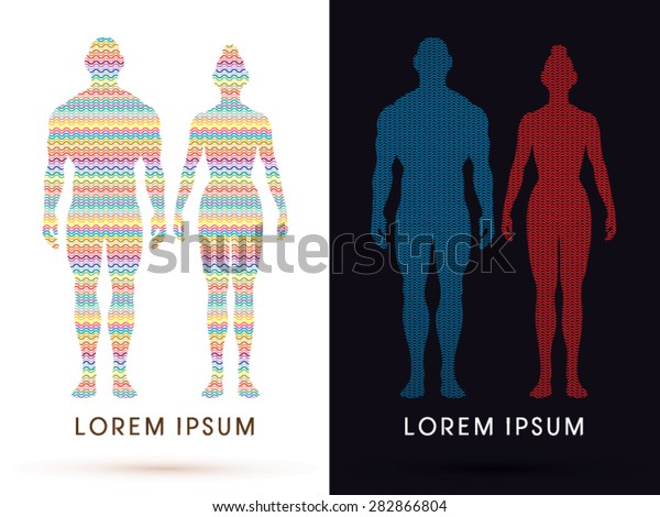 Male Female Anatomy Human Body Full Stock Vector (Royalty Free) 282866804