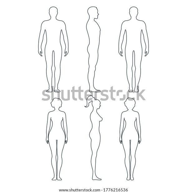 Male and female anatomy human character, people dummy front and view