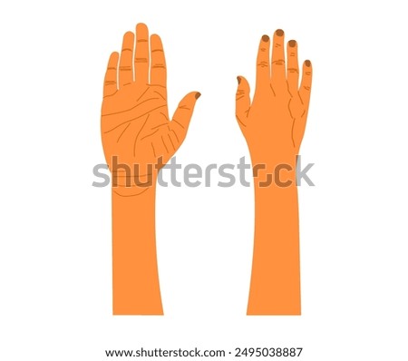 male female anatomy line art hand. male or female hand back or front view. Human hand back and palm view vector illustration.