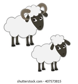 Male and female black-white sheeps