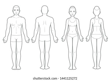 Male and female body chart, front and back view. Blank human body template for medical infographic. Isolated vector clip art illustration.