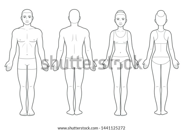 男性と女性のボディチャート 前面と背面 医療インフォグラフィック用の空白の人体テンプレート 分離型ベクタークリップアートイラスト のベクター画像素材 ロイヤリティフリー