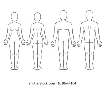 Male and female body front and back view. Blank human body template for medical infographic. Isolated vector illustration.