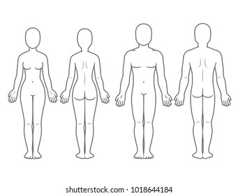 Male And Female Body Front And Back View. Blank Human Body Template For Medical Infographic. Isolated Vector Illustration.