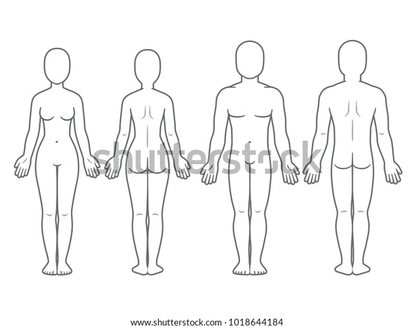 Male
and female body front and back view. Blank human body template for
medical infographic. Isolated vector
illustration.