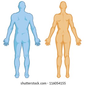 Male, Female Body Shapes Ã¢Â?Â? Human Body Outline Ã¢Â?Â? Vector - Posterior View - Full Body