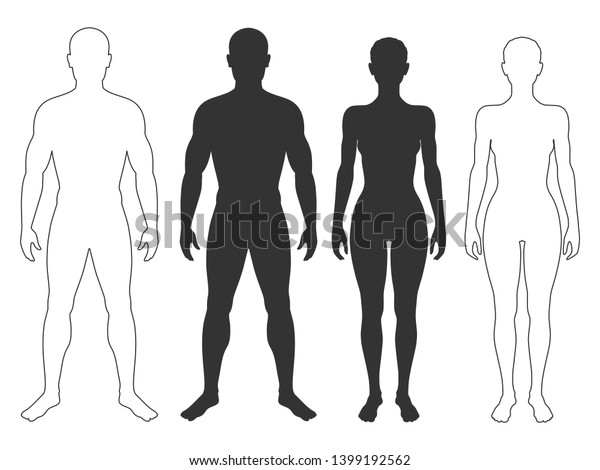 Male Female Body Silhouettes Contours Man Stock Vector (Royalty Free ...