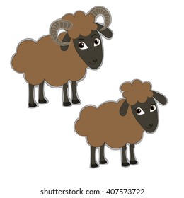 Male and female brown sheeps