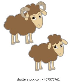 Male and female brown sheeps